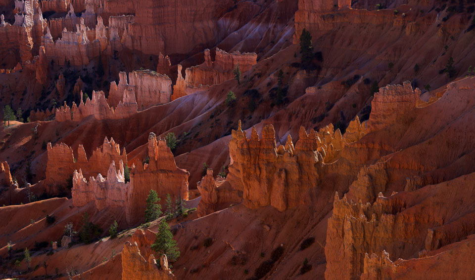 bryce_pan_2012.jpg