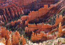 Red rocks