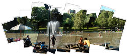 frog_pond_44x19.jpg