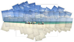 french_on_miami_beach_48x28.jpg